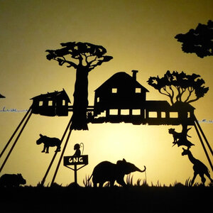 Spectacle d ombres chinoises HISTOIRE d IVOIRE La vie des derniers éléphants d'Afrique l ONG 04 