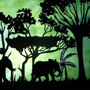 Spectacle d'ombres chinoises « HISTOIRE d'IVOIRE » La vie des derniers éléphants d'Afrique