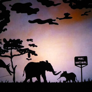 Spectacle d'ombres chinoises HISTOIRE d IVOIRE La vie des derniers éléphants d'Afrique parc national 01 