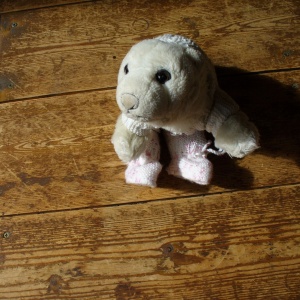 D'ours