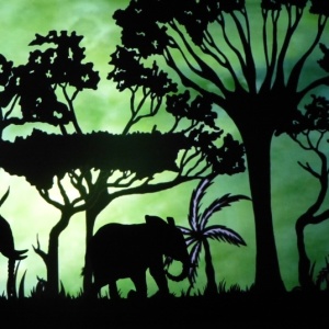 Spectacle d'ombres chinoises « HISTOIRE d'IVOIRE » La vie des derniers éléphants d'Afrique