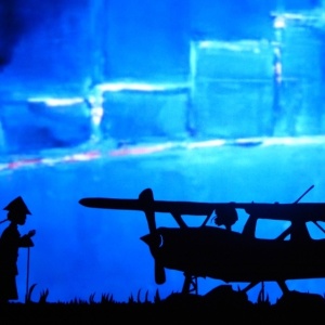 Spectacle d ombres chinoises HISTOIRE d IVOIRE La vie des derniers éléphants d'Afrique le trafic 01