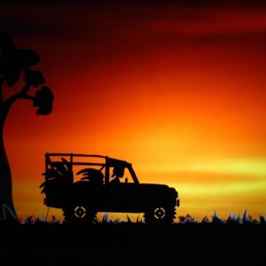 Spectacle d ombres chinoises HISTOIRE d IVOIRE La vie des derniers éléphants d'Afrique le trafic 14