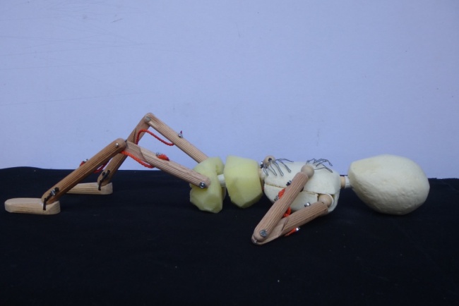 Marionnette de travail les volumes Spectacle La vie de Charles de Foucauld 02