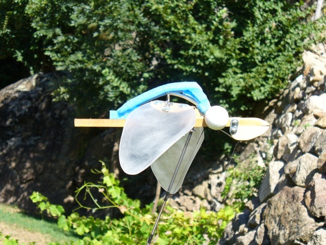 Oiseau