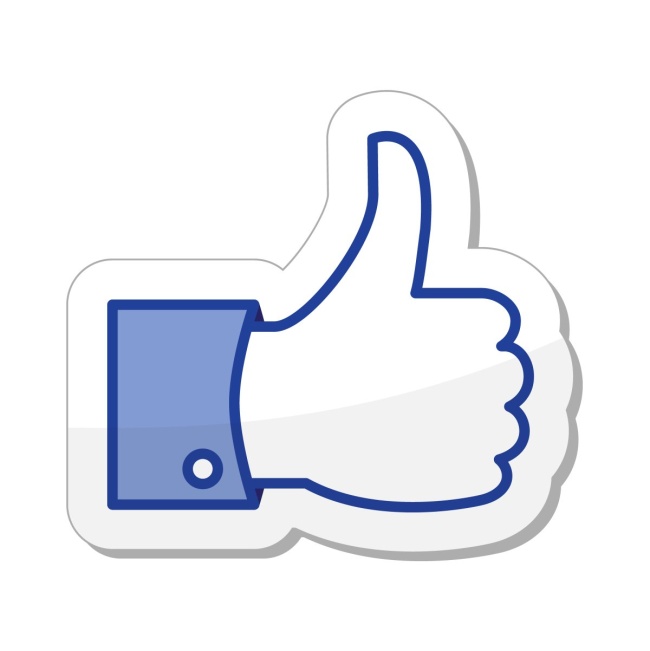 Vers la page Facebook de la Compagnie des Skowiés Vers la page Facebook de la Compagnie des Skowiés